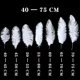 thumbnail image 5 of 10 piezas/lote de plumas de avestruz blancas naturales para manualidades, 15-45 cm, decoración de bodas, fiestas, centros de mesa, carnaval, Plumas Deco, 5 of 5