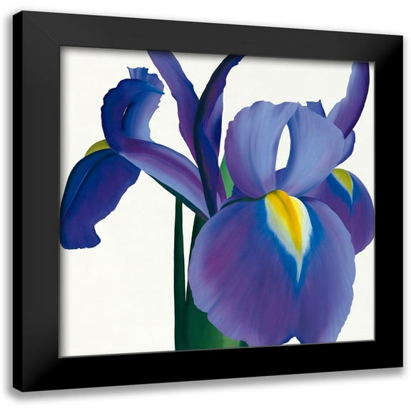 Andrew, Stephanie 12x12 Black Modern Framed Museum Art Print Titled - Iris