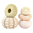 thumbnail image 1 of Lutabuo Sea Urchin Air Pineapple Shells Conch Aquarium Bonsai Mediterranean Seashells De, 1 of 9