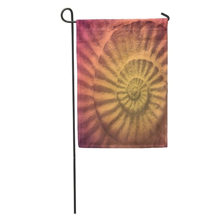 SIDONKU Pink Shell Colorful of Ammonite Prehistoric Fossil Abstract Yellow Amonite Garden Flag Decorative Flag House Banner 28x40 inch