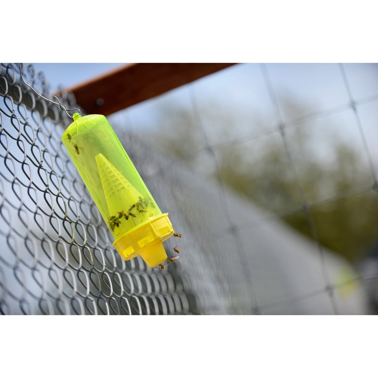 RESCUE! Reusable Yellow Jacket Trap photo 8