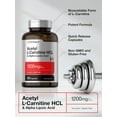 Benefits Of Acetyl L-carnitine And Alpha Lipoic Acid Horbaach Acetyl L-Carnitine HCL & Alpha Lipoic Acid 1200mg | Amino Acid