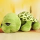 thumbnail image 5 of Muñeco de peluche de tortuga de ojos grandes y verde suave de 20 cm, juguete para bebés y niños, 5 of 6