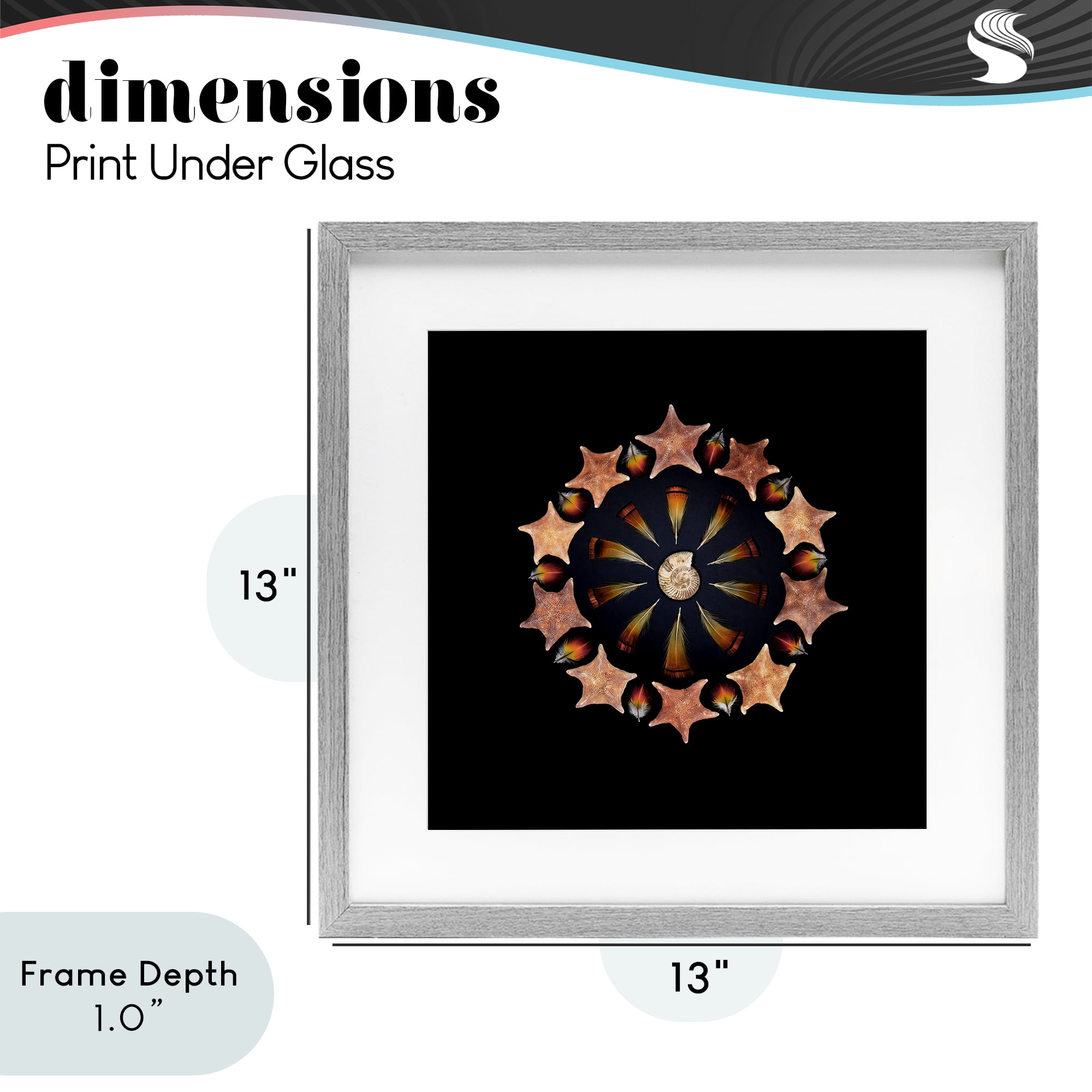 Stupell Industries Nautical Nature Arrangement Gray Framed Print Under Glass, design by Beth Adoette