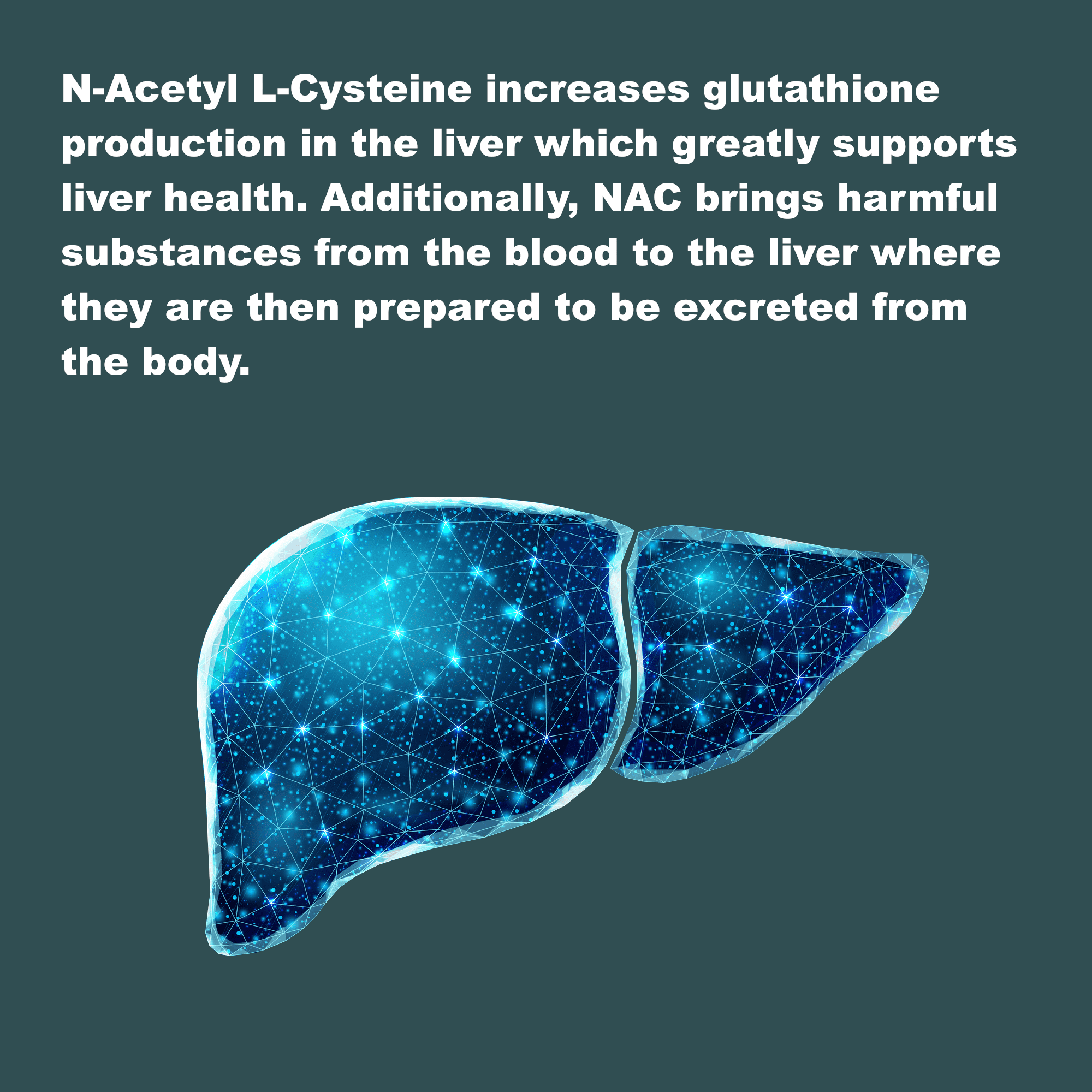LifeLink's NAC (N-Acetyl L-Cysteine) | 600 mg x 120 capsules | Antioxidant, Anti-Aging, Immunity | Gluten Free & Non-GMO | Made in the USA