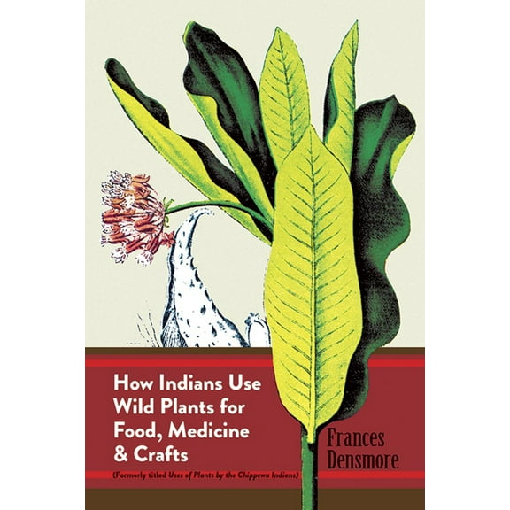 Pre-Owned How Indians Use Wild Plants for Food, Medicine & Crafts (Paperback) 0486230198 9780486230191