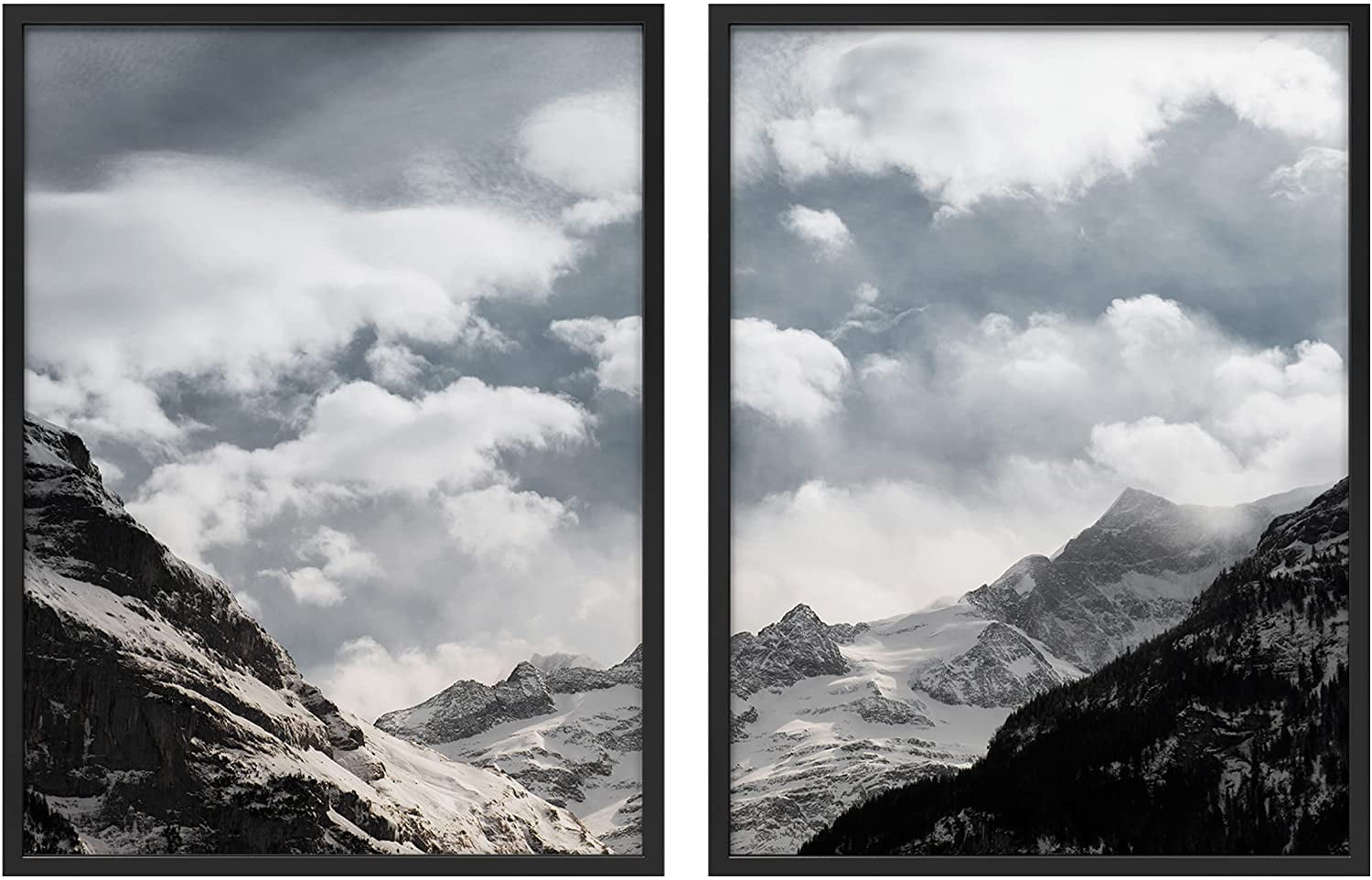 PixonSign Framed Wall Art Print Black and White BLue Sky Succulent