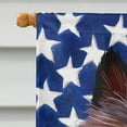 thumbnail image 3 of Carolines Treasures CK6429CHF Belgian Tervuren American Canvas House Size Outdoor-Flags, Multicolor, 3 of 4