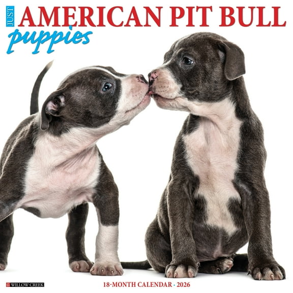American Pit Bull Terrier Puppies 2026 Wall Calendar