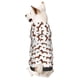 thumbnail image 1 of Fotbe Dachshund Dog Puppy Sudadera con Estampado para Perros Pequeños – Suéter con Capucha para Mascotas, Tela Suave de Forro Polar con Bolsillo-X-Small, 1 of 7