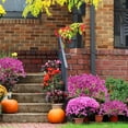 thumbnail image 4 of Paquete de flores artificiales ColoPlay de 24 piezas para interiores y exteriores, 4 of 7