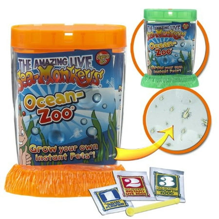 Schylling Sea Monkeys Ocean Zoo Colors May Vary Walmart Canada