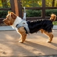 thumbnail image 5 of Pet No Pull Dog Harness with Breathable Mesh Padded, Adjustable Reflective Escape Proof Dog Harness, Quick Fit Dog Vest Harness for Small Medium Large Dogs, 5 of 9