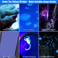 thumbnail image 3 of High quality UV Flashlight Rechargeable Scorpion Catch Zoom Waterproof Pocket, 3 of 5
