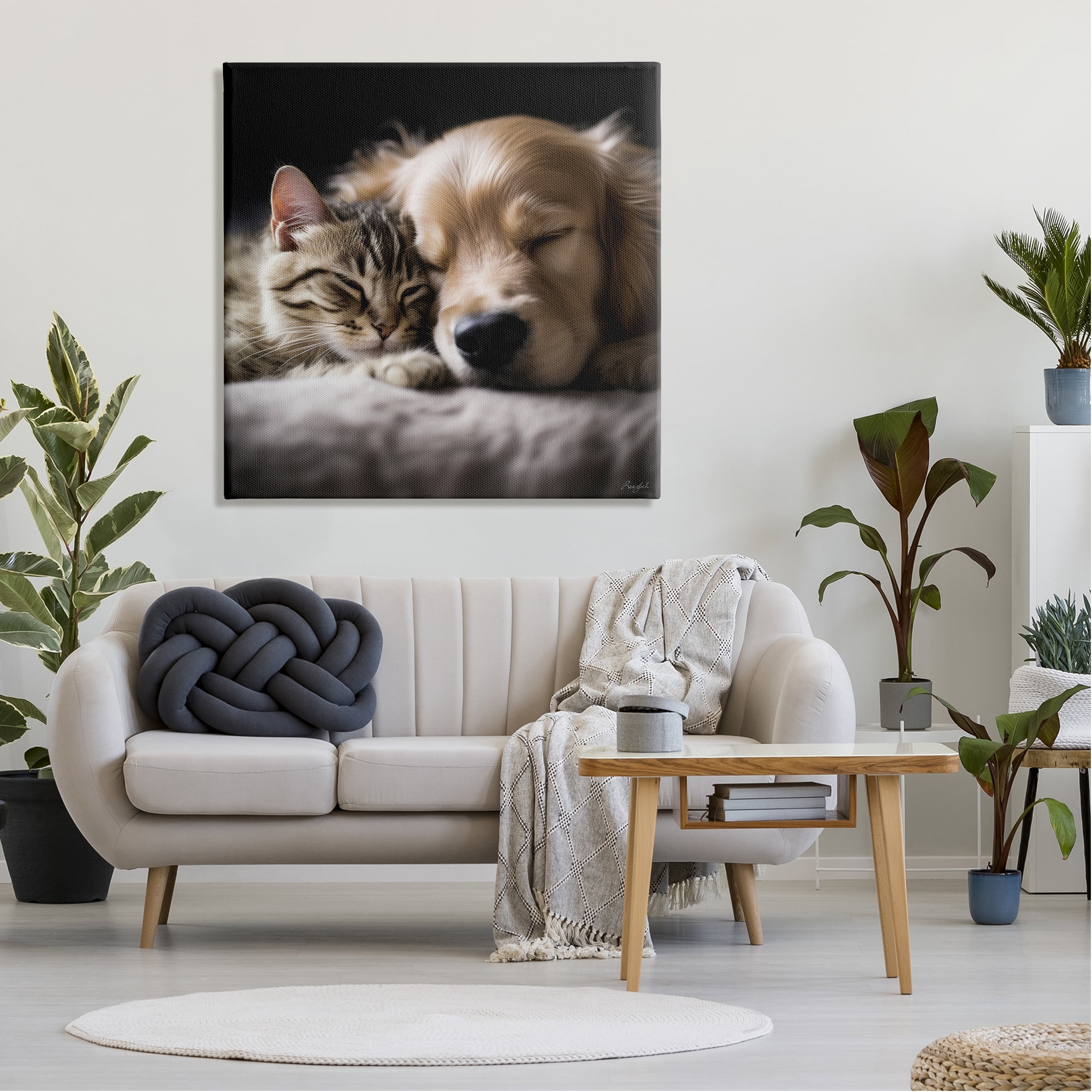 Stupell Industries Cat & Dog Photography Animals & Insects Photography Gallery Wrapped Canvas Art Print Wall Art, 36 x 36