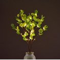 thumbnail image 3 of Vorkoi Lighted Artificial Eucalyptus Branches with Timer, Light Up Eucalyptus Branches 30in 38 Led, Battery Powered Vase Lights, Greenery Plant for Home Christmas Party Wedding Decor Indoor Outdoor, 3 of 4