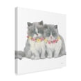 thumbnail image 2 of Trademark Fine Art 'Cutie Kitties VIII' Canvas Art by Emily Adams, 2 of 4
