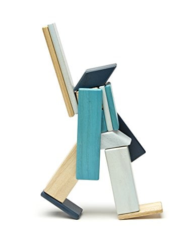 tegu blocks 14 piece set