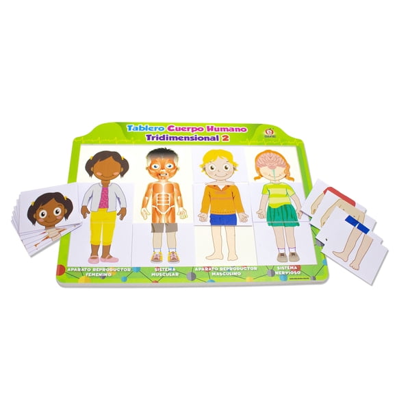 Tablero Cuerpo Humano Tridimensional 2 Nuevo Diseño Educatodo J-1360