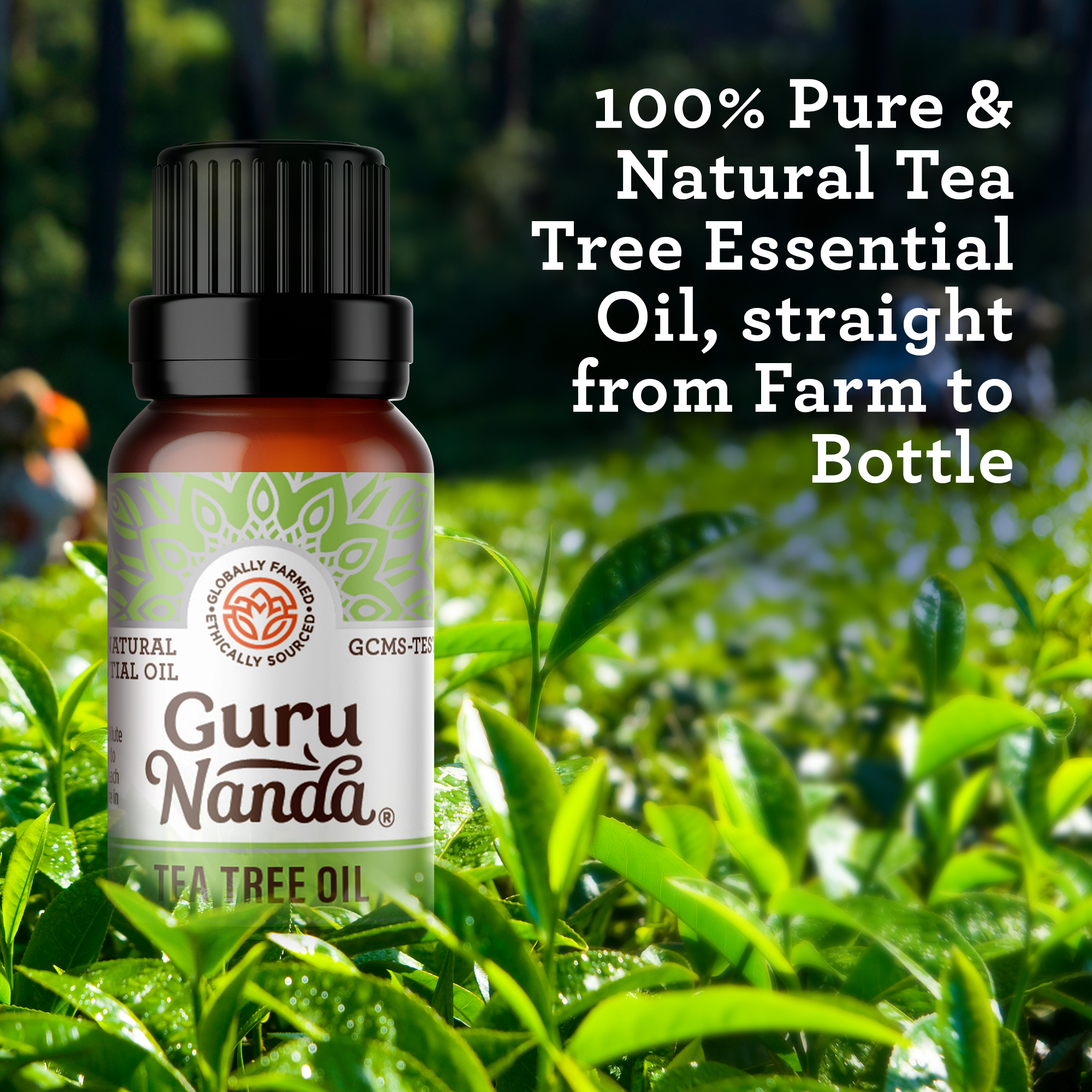 GuruNanda 100% Pure & Natural Tea Tree Essential Oil for Aromatherapy & Diffuser - 15ml - image 4 of 8