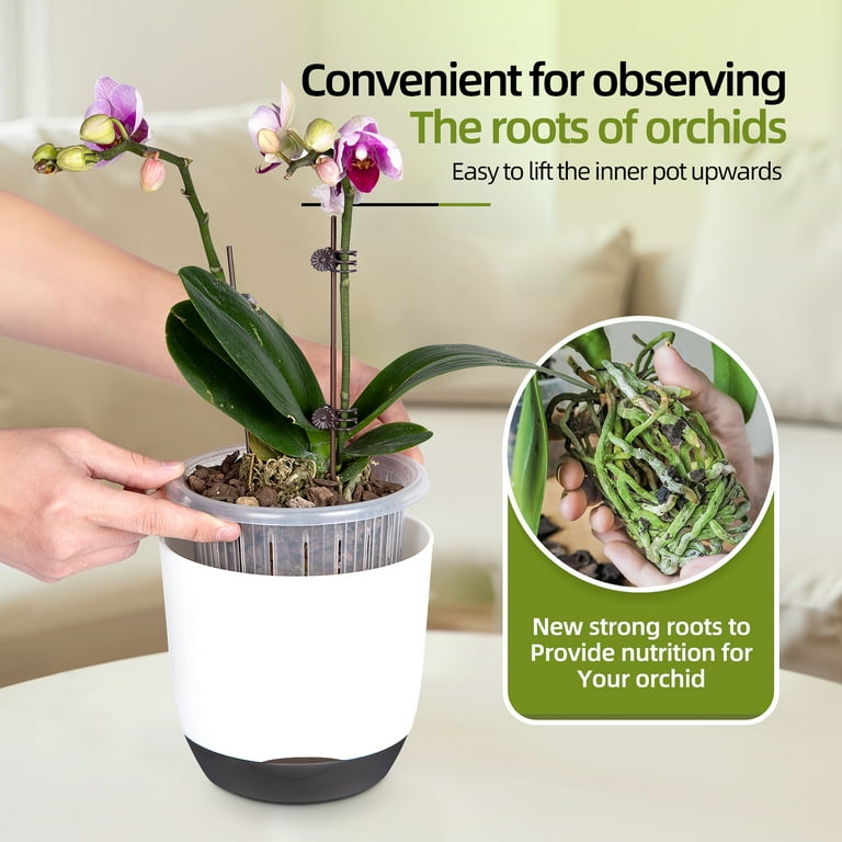QCQHDU 7 Inch Orchid Pots with Holes, 2 Pack Self Watering Orchid pot Match  Plastic Decorative Orchid PlanterDouble Layer Plastic Orchid Pot Promoting  Air Circulation and Drainage - Walmart.com