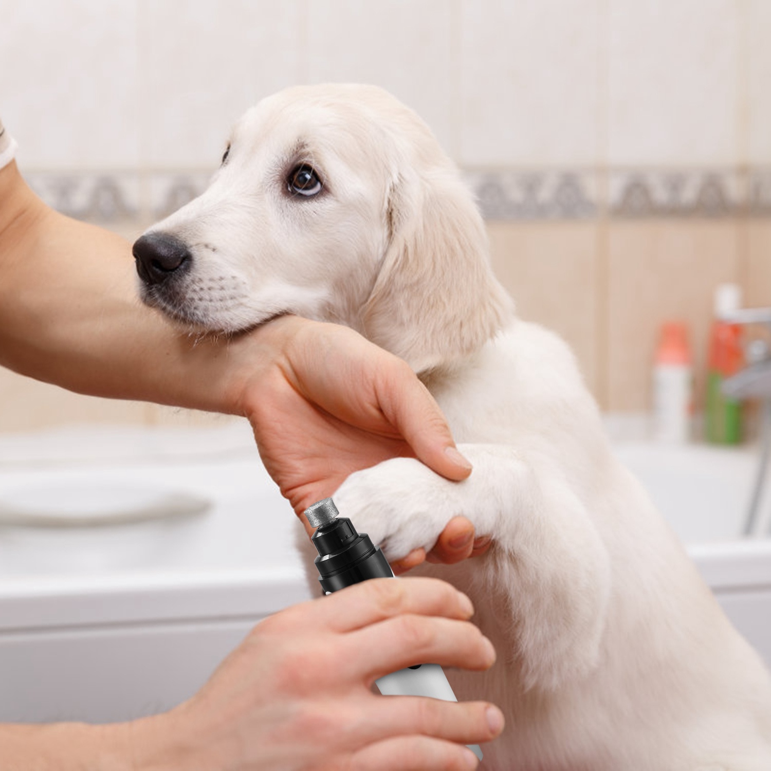 electric dog nail trimmer walmart