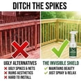 thumbnail image 3 of Donaldson Farms Bird Repellent Spray – Outdoor Formula to Keep Birds Away – Pigeon, Woodpecker, Sparrow, Duck & Goose Deterrent – Efficient Bird Spray for Roofs, Yards, Patios, Balconies, Homes, 3 of 8