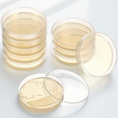 SEWOART 20-Pack Agar Petri Dishes for Microbiology Cultivation and School Science Projects