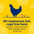 thumbnail image 4 of Eggland's Best Cage Free Large Brown Eggs, 12 Count, 4 of 11