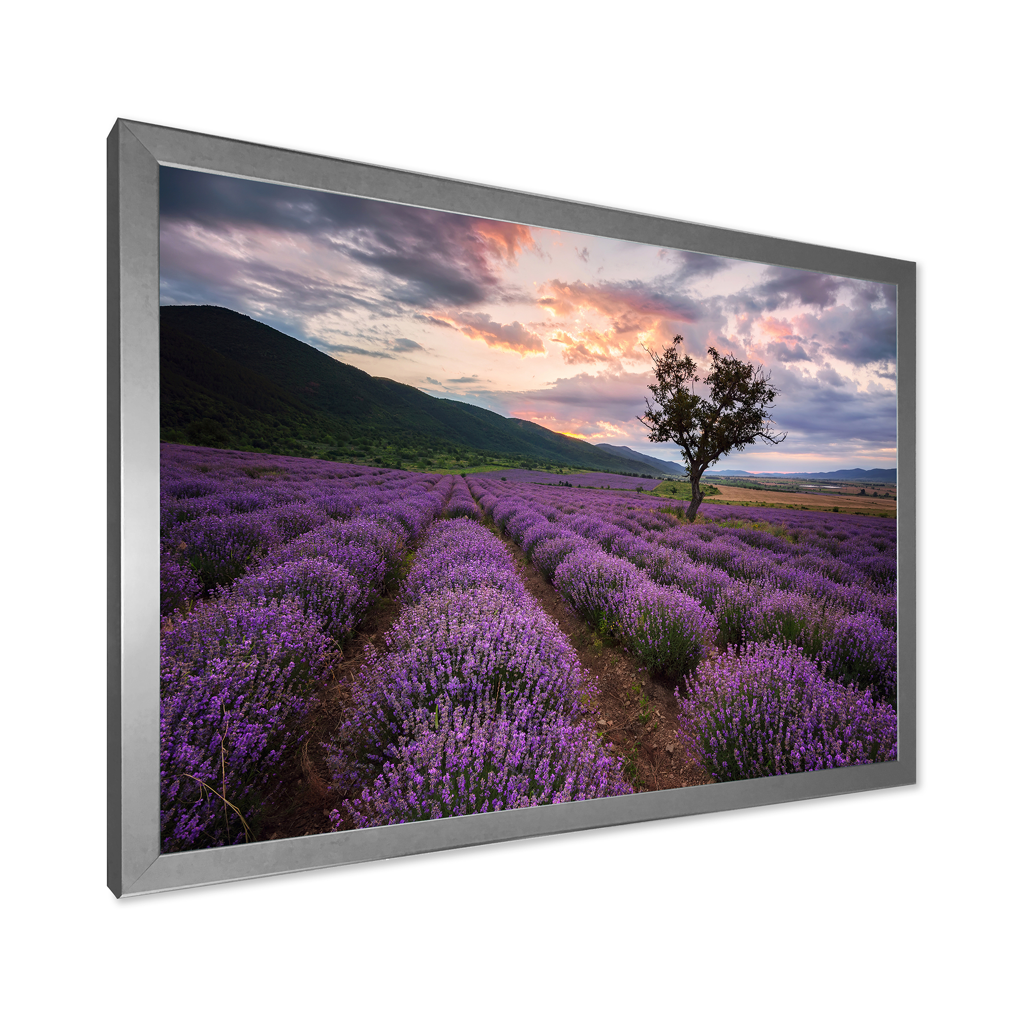 Designart 'Lavender Field At Sunrise III' Farmhouse Framed Art Print