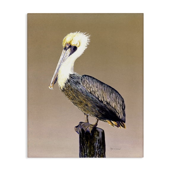 Stupell Industries Coastal Pelican on Perch Canvas Art, 16 x 20, by Christine Reichow