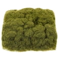 thumbnail image 1 of 1 bolsa de musgo sintético Micro paisaje falso musgo decoración musgo falso musgo decorativo para jardineras césped artificial musgo falso musgo prop decoración, 1 of 5