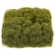 thumbnail image 1 of 1 bolsa de musgo sintético Micro paisaje falso musgo decoración musgo falso musgo decorativo para jardineras césped artificial musgo falso musgo prop decoración, 1 of 5