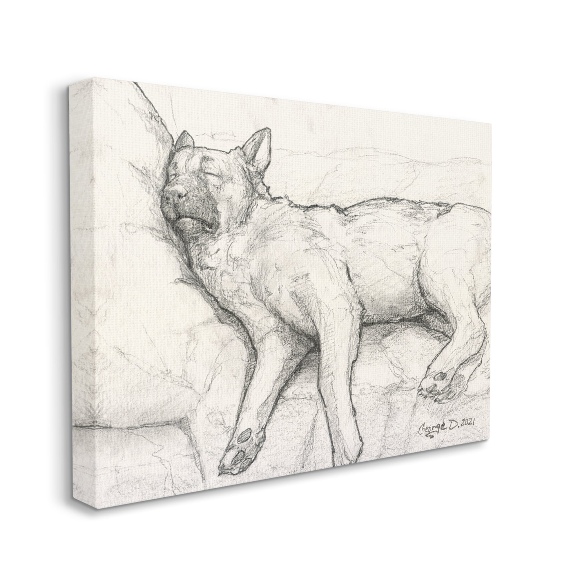 Stupell Industries Tired Dog Sleeping Intricate Graphite Pencil Sketch Drawing Print Gallery Wrapped Canvas Print Wall Art, Design by George Dyachenko