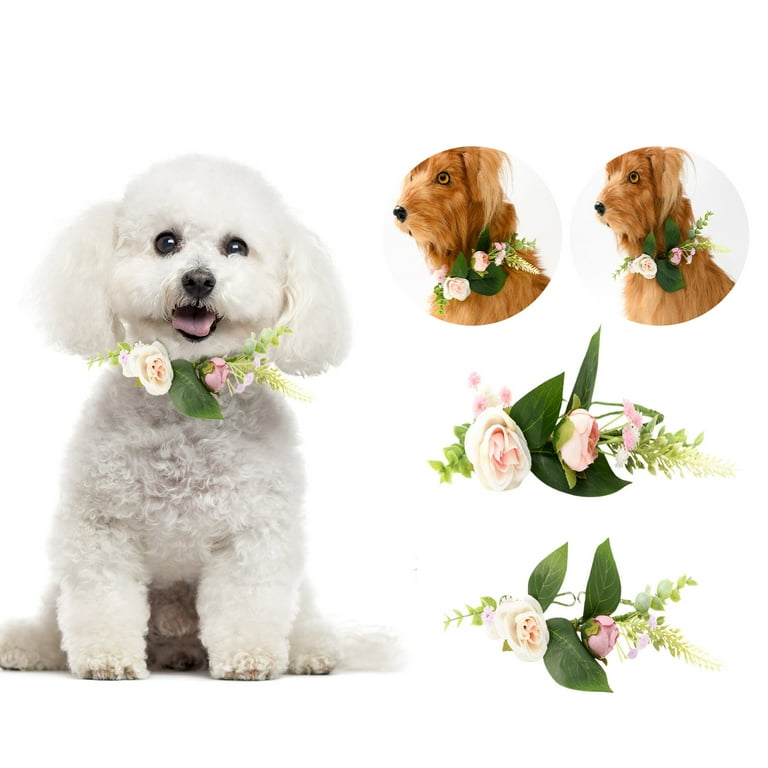 Dog wreath best sale collar