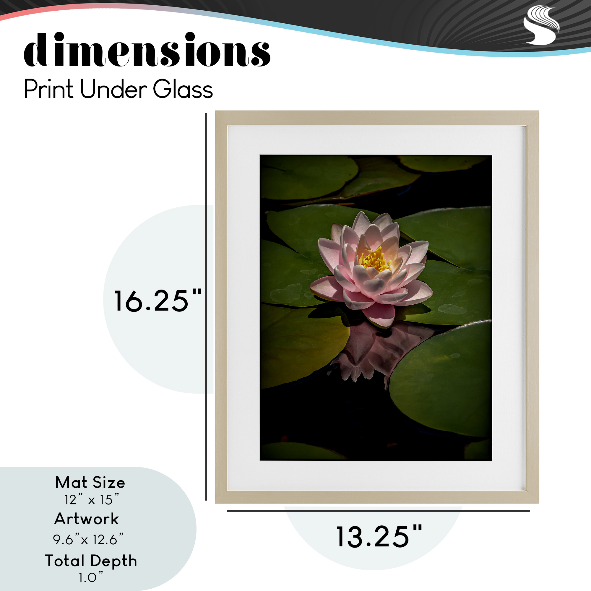 Pink Lotus Among Lily Pads Birch Framed Print Under Glass, design by Phillip Flowers