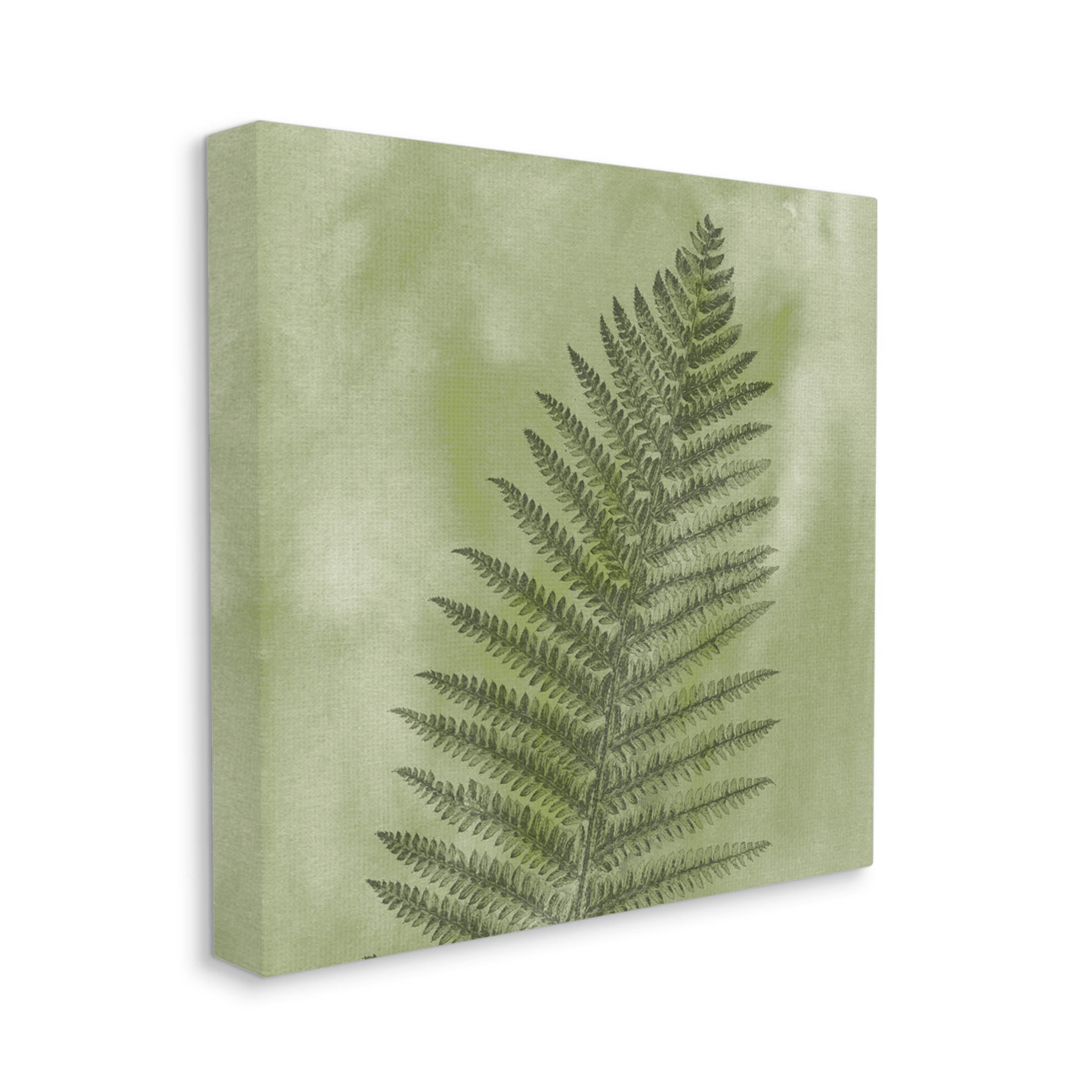 Wild Nature Fern Leaf Botanical & Floral Graphic Art Gallery Wrapped Canvas Print Wall Art