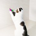 thumbnail image 4 of Recambios para juguetes con plumas de gato TIENAILING Da Bird, 8 piezas, 4 of 6
