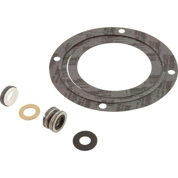 Pentair PP1700 Seal Gasket Kit for Pool and Spa Pump