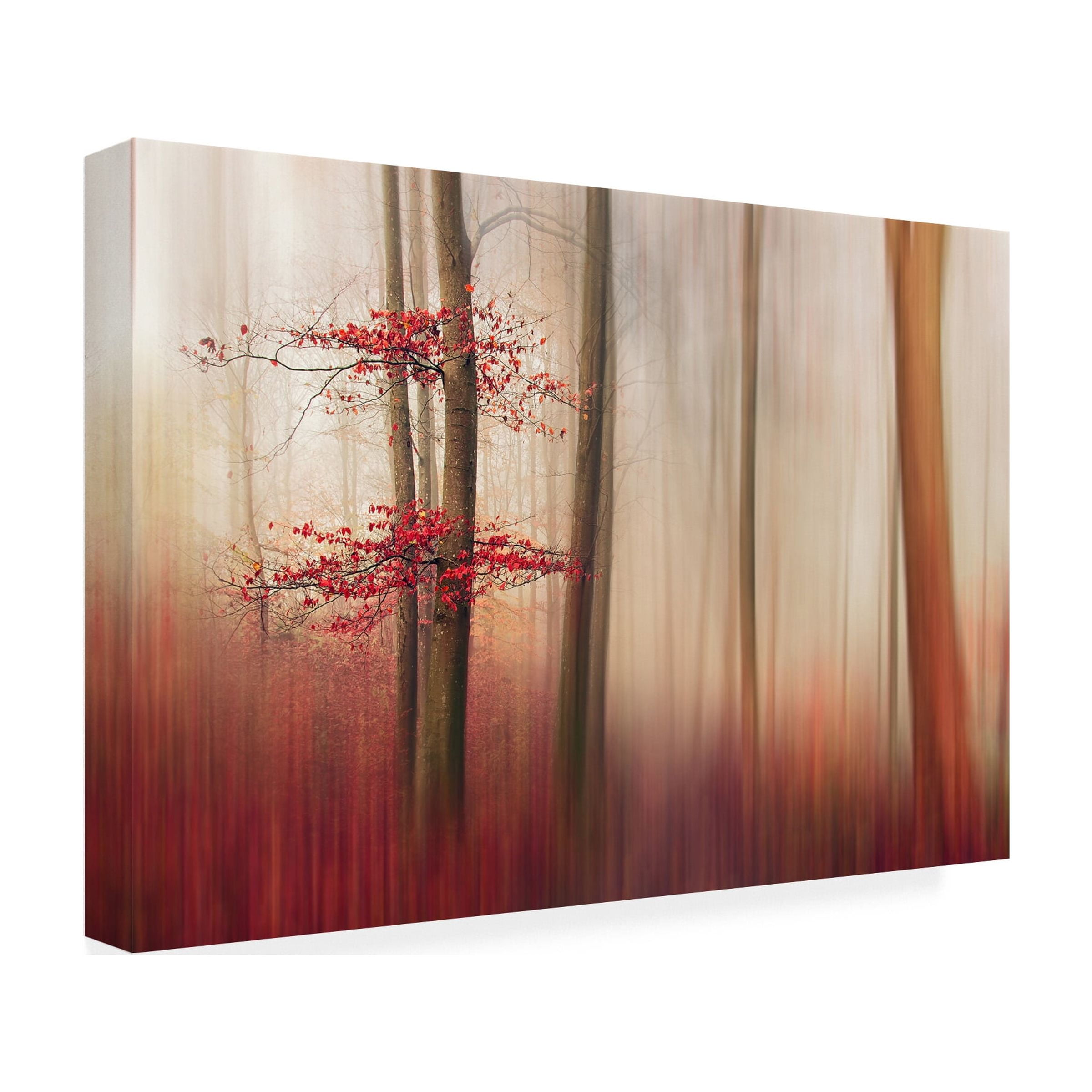 Leif L�ndal 'Red Leaves' Canvas Art