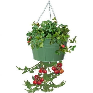 Houston International Trading 8399E SA Enameled Galvanized Hanging Strawberry, Floral Planter - Sage