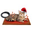 thumbnail image 1 of Almohadilla térmica para gatos Ortri 50 x 30 cm, tapete eléctrico calefactable, 1 of 9