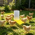 thumbnail image 5 of Large Capacity Quail Water Feeder, for Cage, Automatic Water Supply Designs, Baby Chick Waterer, Ideal Feeders for Baby Bird A, 5 of 6