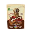 thumbnail image 1 of Yummy Galletas Sabor Chocolate Perro 100grs Naturance Fancy Pets FL3841, 1 of 2