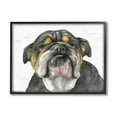 thumbnail image 5 of Stupell Industries Chubby Bulldog Portrait Old Dog Charm Black Brown Grey Framed, 11 x 14, Design by George Dyachenko, 5 of 5