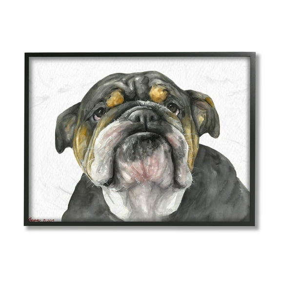 Stupell Industries Chubby Bulldog Portrait Old Dog Charm Black Brown Black Framed, 24 x 30, Design by George Dyachenko