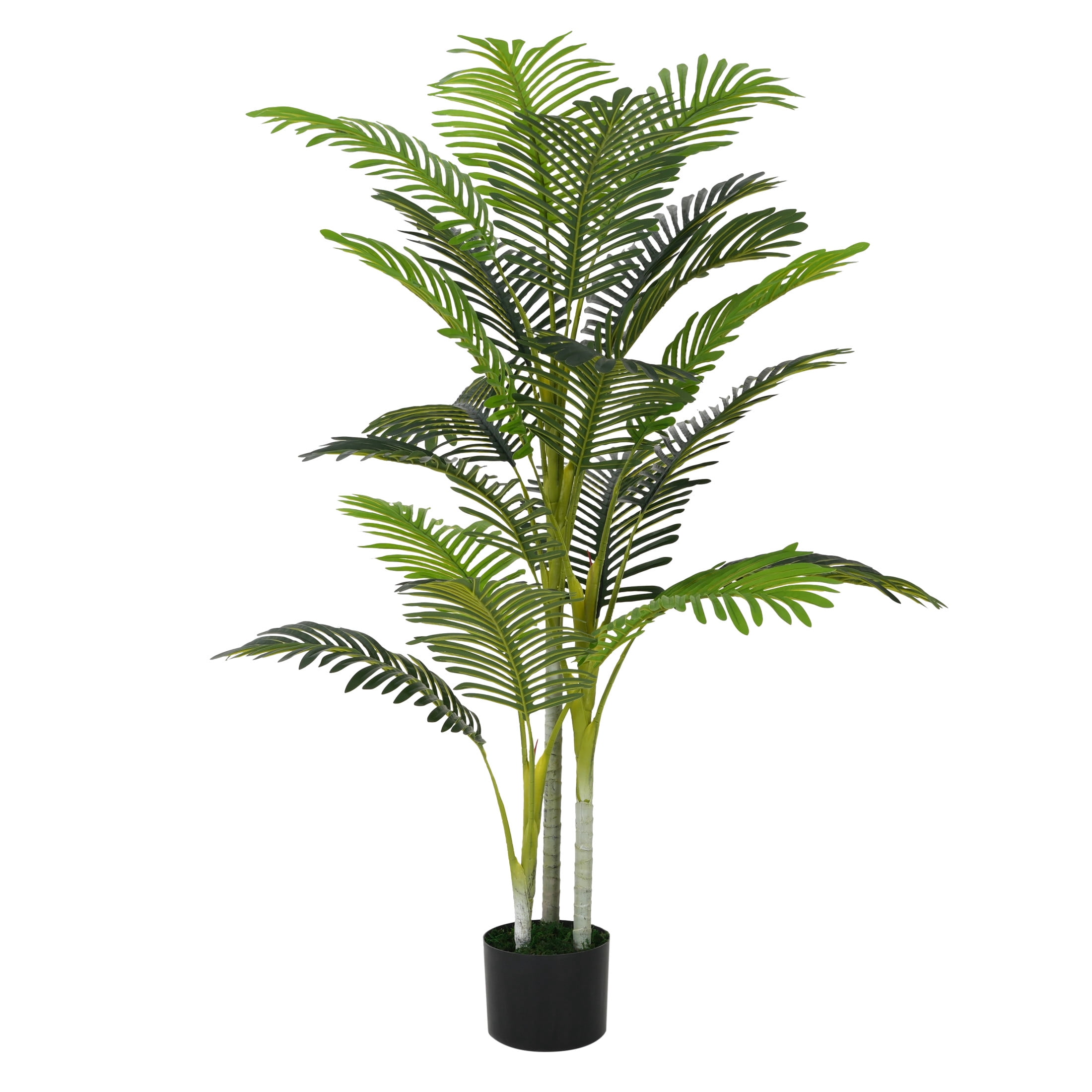 Christopher Knight Home 61" Artificial Palm Tree in Black Plastic Pot, Pre-Potted Faux Greenery Tree for Home Decor (Set of 2)