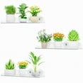 thumbnail image 2 of Lifewit Window Plant Floating Shelves 15 inch, 3 Pack Acrylic Suction Cup Shelf, Window Sill Extender for Indoor Succulent Plants, Micro Greens, Seed Starter Pots, Herb Planters, 2 of 8