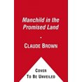 thumbnail image 2 of Manchild in the Promised Land, 2 of 3