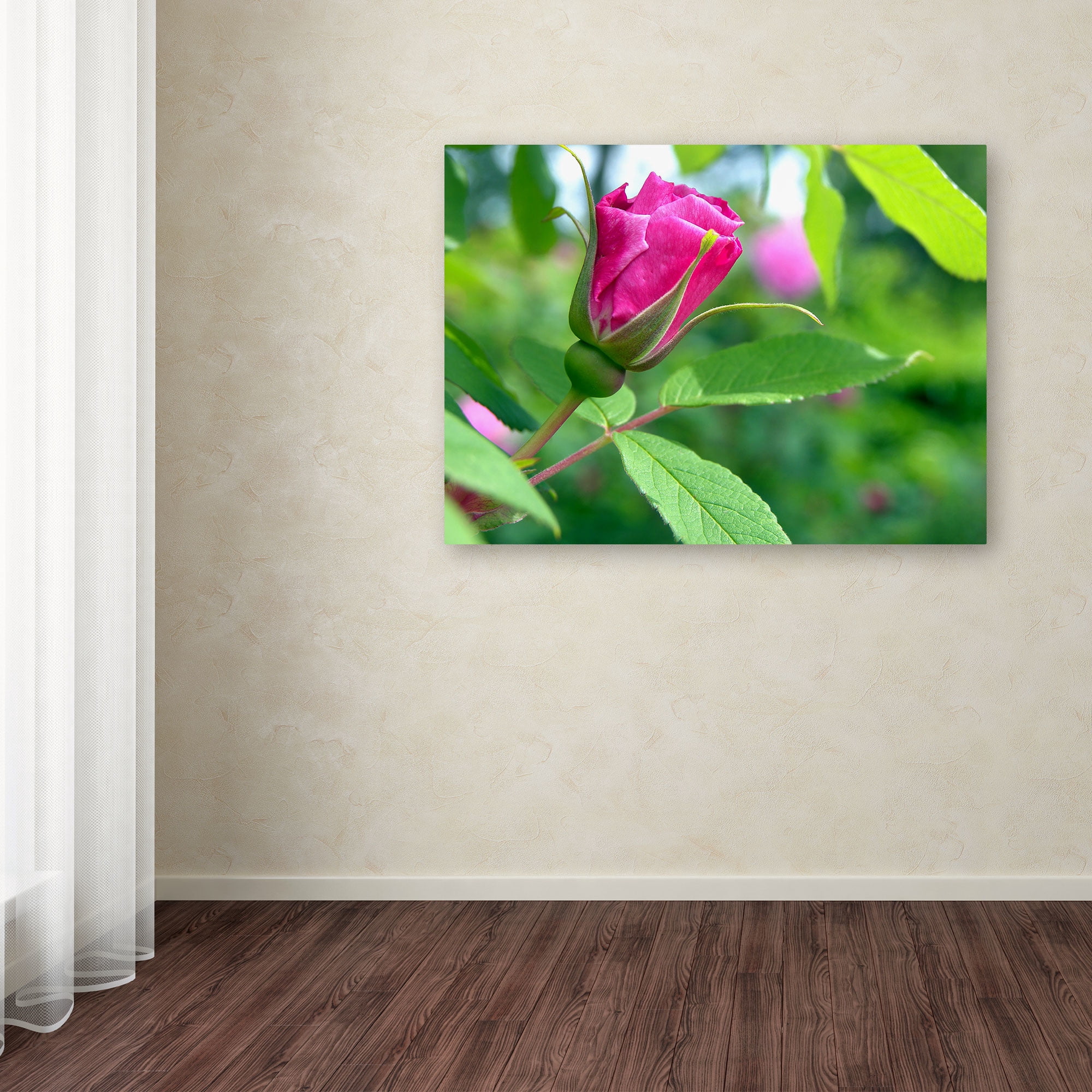 Trademark Fine Art "Unfolding Transformation" Canvas Art by Monica Fleet
